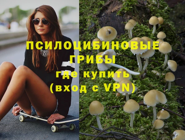 прущая мука Арсеньев
